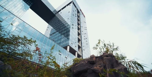 系統性創新 金螳螂的雙輪驅動——裝配式裝修與BIM模式的建筑材料技術開發