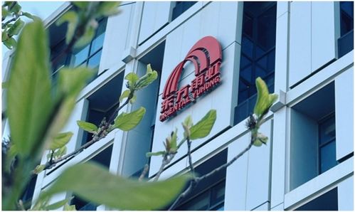 東方雨虹2023年財報解讀 營收利潤雙增，技術創新驅動高質量發展