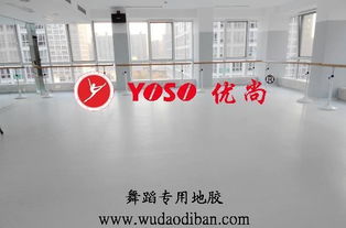 舞動藝術之魂——優尚國際建材發展集團公司打造專業歌舞院專用舞蹈地板高清圖鑒